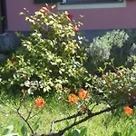 Le Ginestre Apartmán Levanto