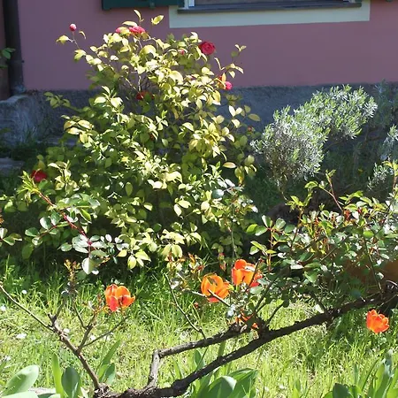 Le Ginestre Appartamento Levanto