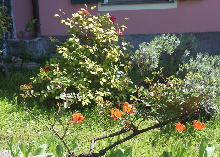 Le Ginestre Lägenhet Levanto