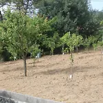 Apartment Le Ginestre *