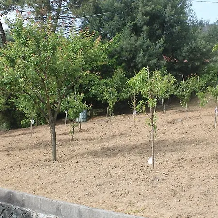 Lägenhet Le Ginestre *
