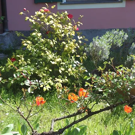 Le Ginestre Lägenhet Levanto