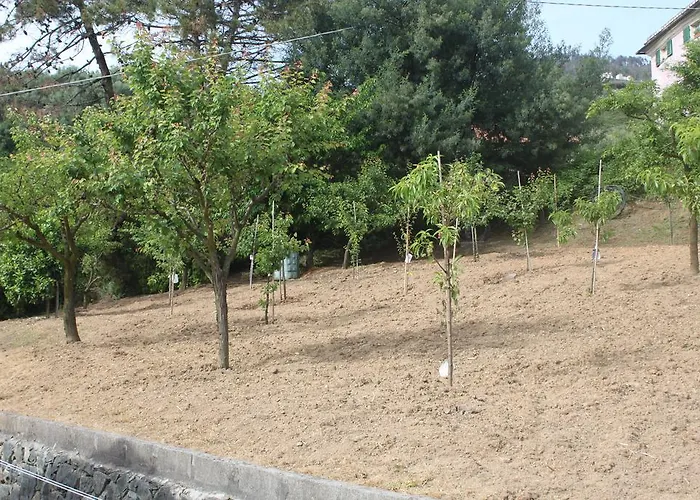 아파트 Le Ginestre *